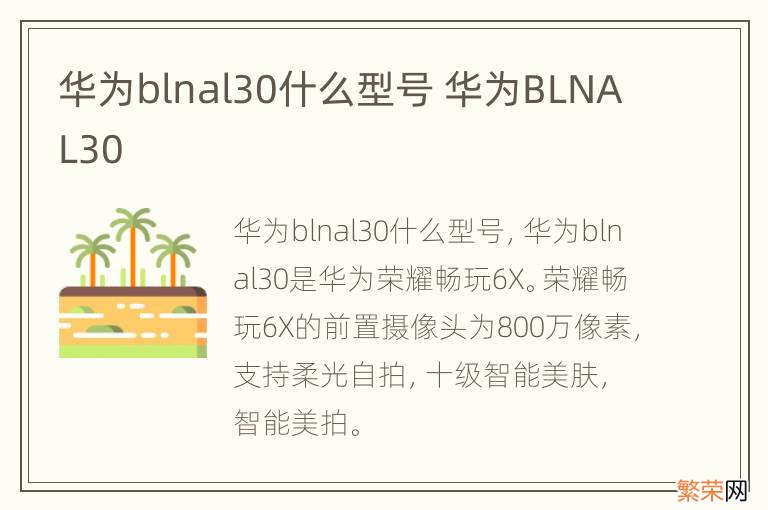 华为blnal30什么型号 华为BLNAL30