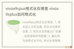 vivox9spus格式化在哪里 vivox9splus如何格式化