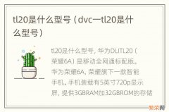 dvc一tl20是什么型号 tl20是什么型号