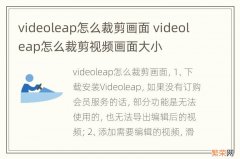 videoleap怎么裁剪画面 videoleap怎么裁剪视频画面大小