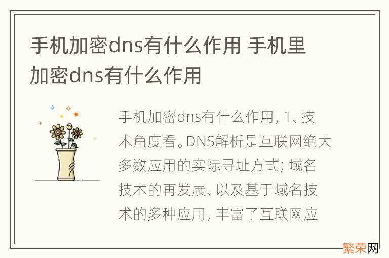 手机加密dns有什么作用 手机里加密dns有什么作用