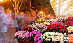 养好杜鹃花4个技巧 怎样养杜鹃花之方法大全