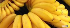 香蕉里黑黑的一粒粒的是什么 米蕉里面黑色硬硬一粒是什么