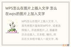 WPS怎么在图片上插入文字 怎么在wps的图片上加入文字