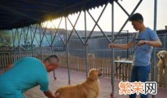 犬舍的建造方法 犬舍的建造方法介绍