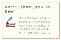 网络的DNS是什么 网络dns是什么意思