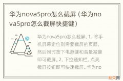 华为nova5pro怎么截屏快捷键 华为nova5pro怎么截屏
