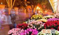 教师节送老师什么鲜花礼物,有什么讲究和禁忌 教师节送花常识和礼仪