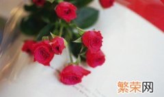 送女生鲜花还是永生花 女神节送永生花好还是鲜花好