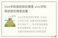 vivo手机指纹锁在哪里 vivo手机指纹锁在哪里设置