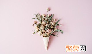 清明上坟送花要注意什么 清明上坟买花有什么讲究