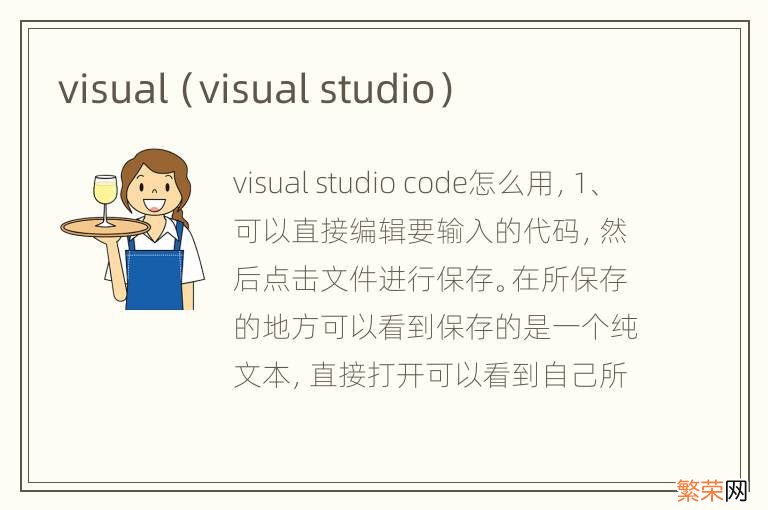 visual studio visual