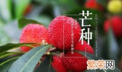 芒种时间要干什么 芒种时节有哪些农活