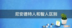 尼安德特人和智人哪个聪明 尼安德特人和智人区别