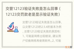 12123交罚款老是显示验证失败 交管12123验证失败是怎么回事