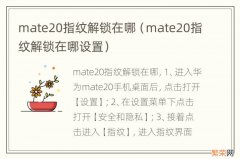 mate20指纹解锁在哪设置 mate20指纹解锁在哪