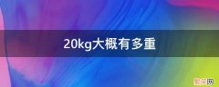 20kg大概有多重 20kg大概有多重 实物