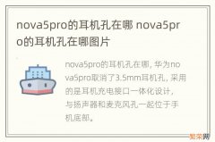 nova5pro的耳机孔在哪 nova5pro的耳机孔在哪图片