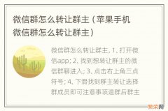 苹果手机微信群怎么转让群主 微信群怎么转让群主