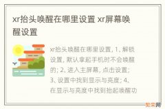 xr抬头唤醒在哪里设置 xr屏幕唤醒设置