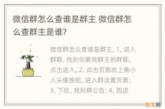 微信群怎么查谁是群主 微信群怎么查群主是谁?