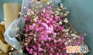 干花做了怎么保存 干花做了保存需注意事项