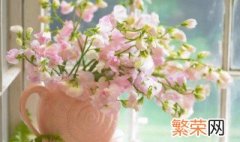 鲜花怎么保存更长 鲜花保存方法介绍