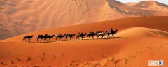 阿拉善沙漠是几大沙漠的统称 阿拉善沙漠是几大沙漠的统称?大沙漠