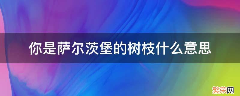 你是萨尔茨堡的树枝什么意思 你就是我的那根萨尔茨堡的树枝啊