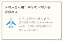 pr导入音乐用什么格式 pr导入的音频格式