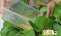 烟蒂水可以浇花驱虫吗 烟蒂水可不可以浇花驱虫