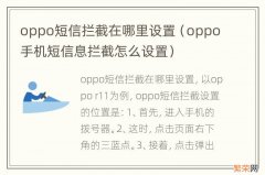 oppo手机短信息拦截怎么设置 oppo短信拦截在哪里设置