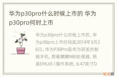 华为p30pro什么时候上市的 华为p30pro何时上市