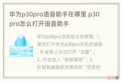 华为p30pro语音助手在哪里 p30pro怎么打开语音助手