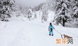 蟑螂北方和南方的区别 北方和南方的区别