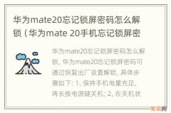 华为mate 20手机忘记锁屏密码怎么办 华为mate20忘记锁屏密码怎么解锁