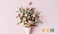 中国式插花通常采用什么固定花 关于中国式插花固定花通常采用的工具