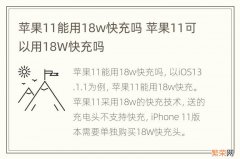 苹果11能用18w快充吗 苹果11可以用18W快充吗