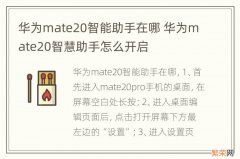 华为mate20智能助手在哪 华为mate20智慧助手怎么开启