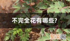 不完全花有哪些? 不完全花是什么意思