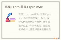 苹果11pro 苹果11pro max