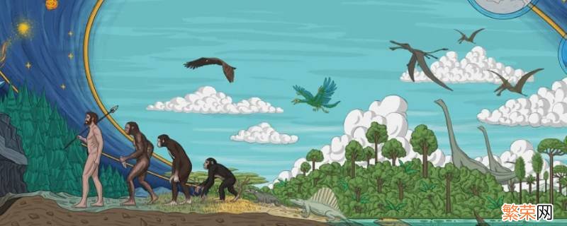 人类在地球上出现的标志是 一般认为人类在地球上出现的标志是