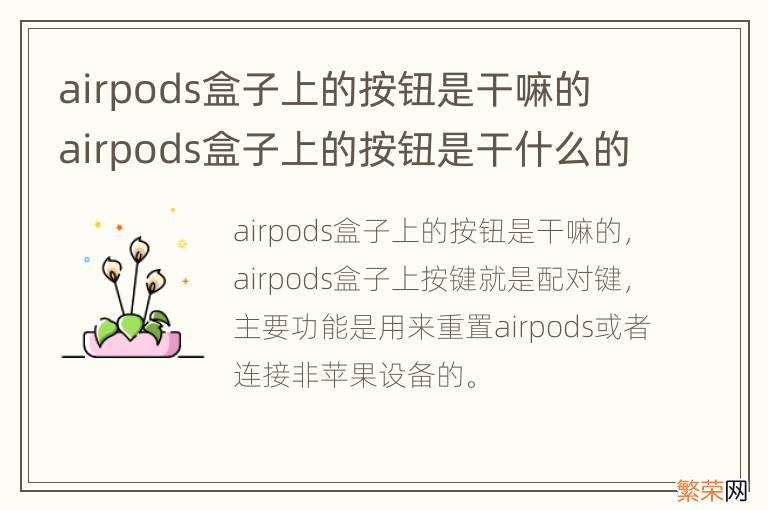 airpods盒子上的按钮是干嘛的 airpods盒子上的按钮是干什么的