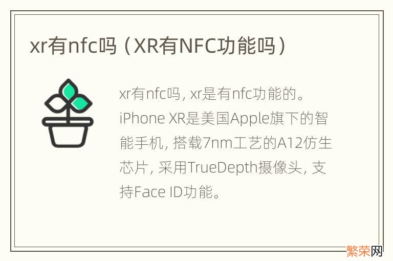 XR有NFC功能吗 xr有nfc吗