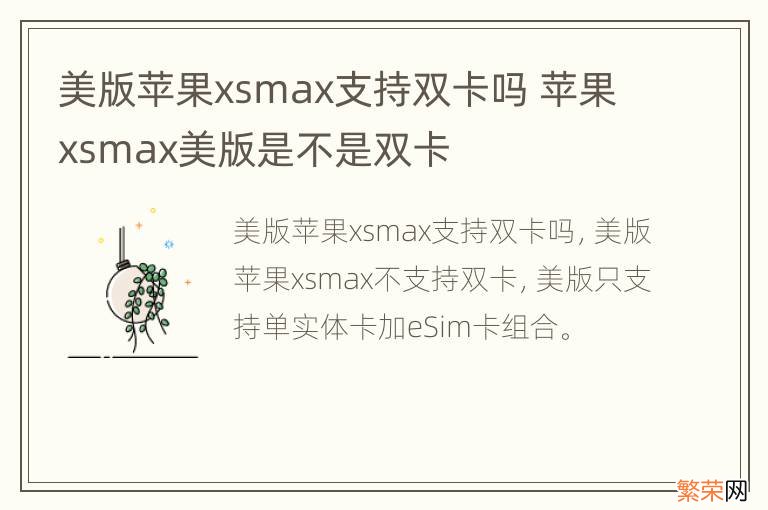 美版苹果xsmax支持双卡吗 苹果xsmax美版是不是双卡