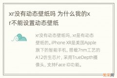 xr没有动态壁纸吗 为什么我的xr不能设置动态壁纸