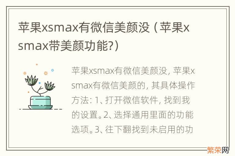 苹果xsmax带美颜功能? 苹果xsmax有微信美颜没