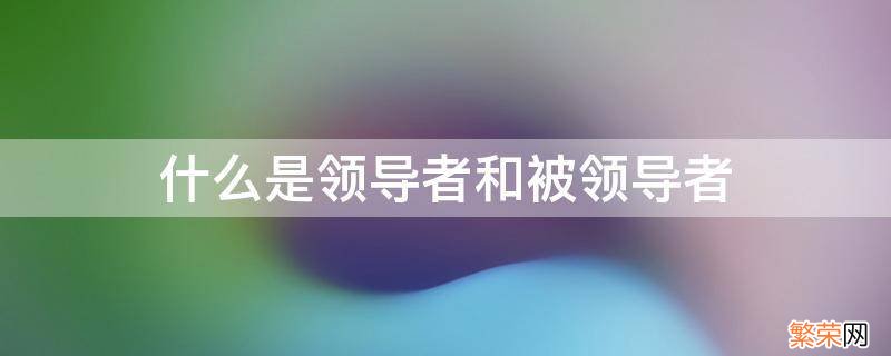 什么是领导者和被领导者 什么是领导者和被领导者?