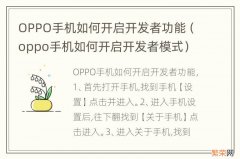 oppo手机如何开启开发者模式 OPPO手机如何开启开发者功能