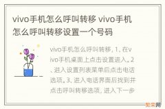 vivo手机怎么呼叫转移 vivo手机怎么呼叫转移设置一个号码